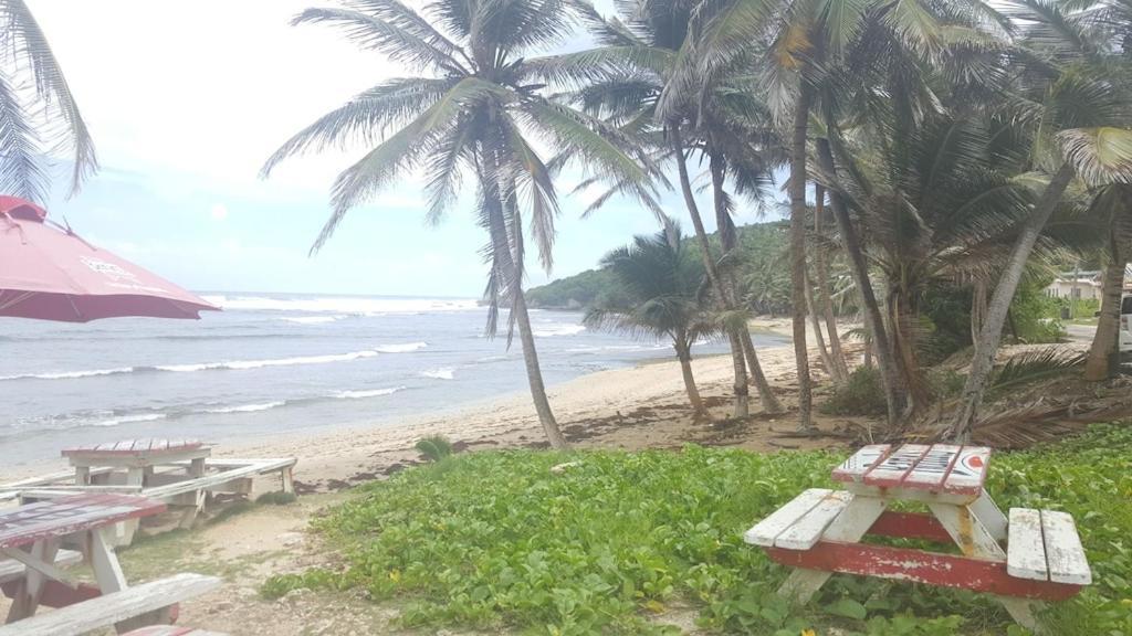 Donamae 2 Story Barbados House Villa Бриджтаун Екстериор снимка